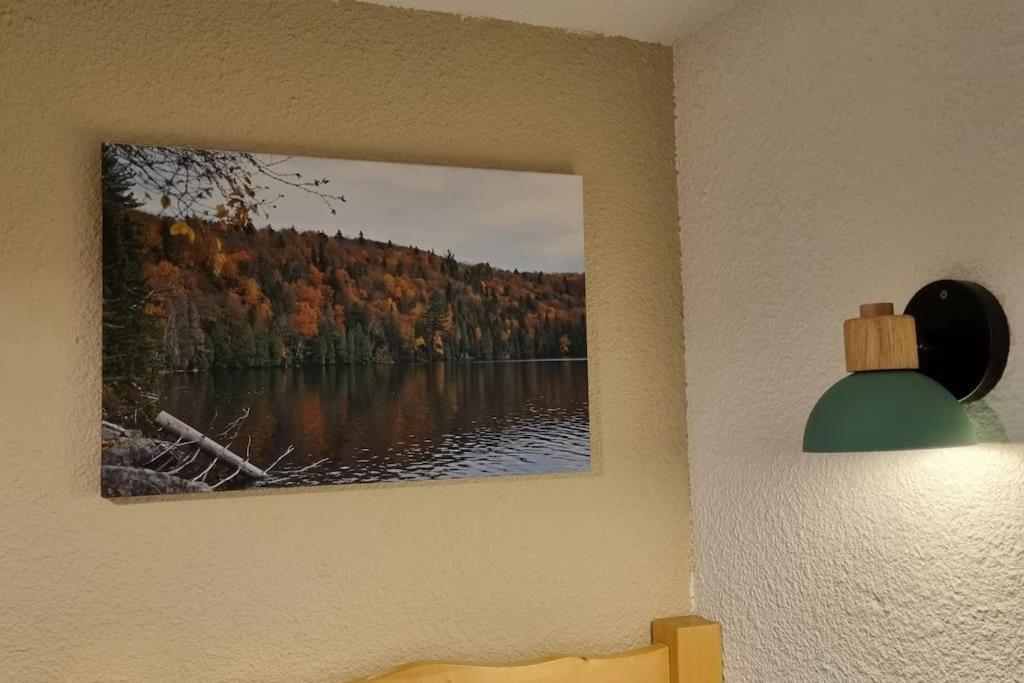 Appartement Le Montagnard *