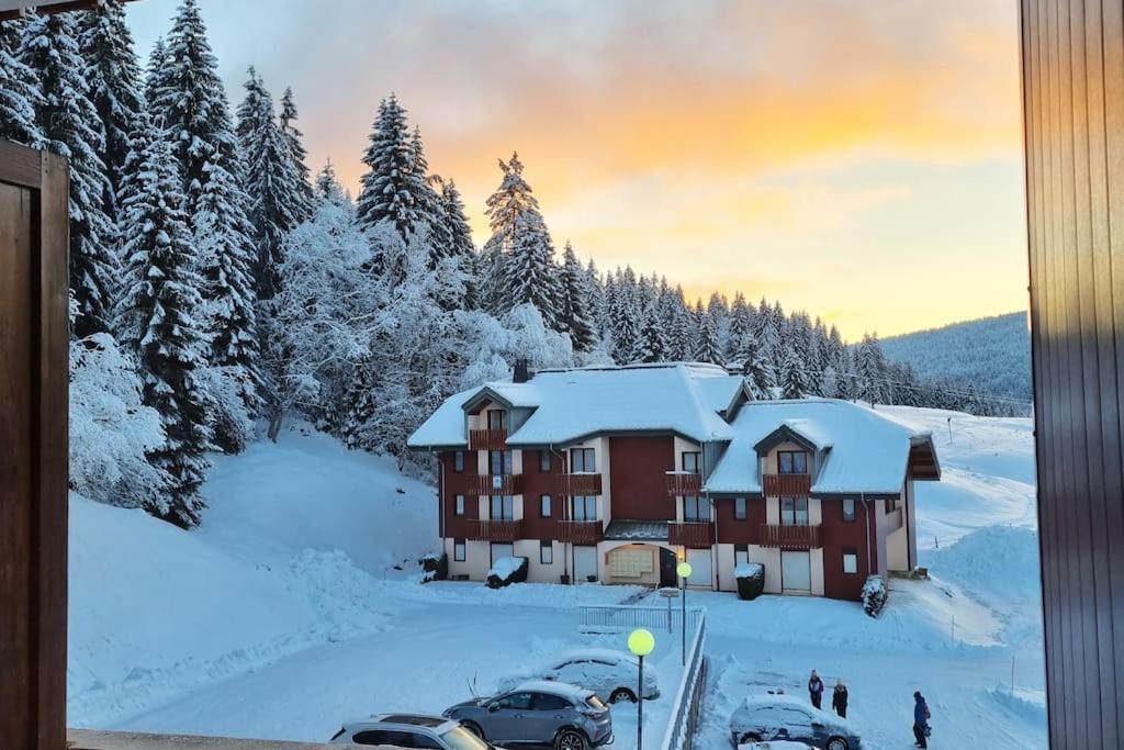 Le Montagnard Appartement *